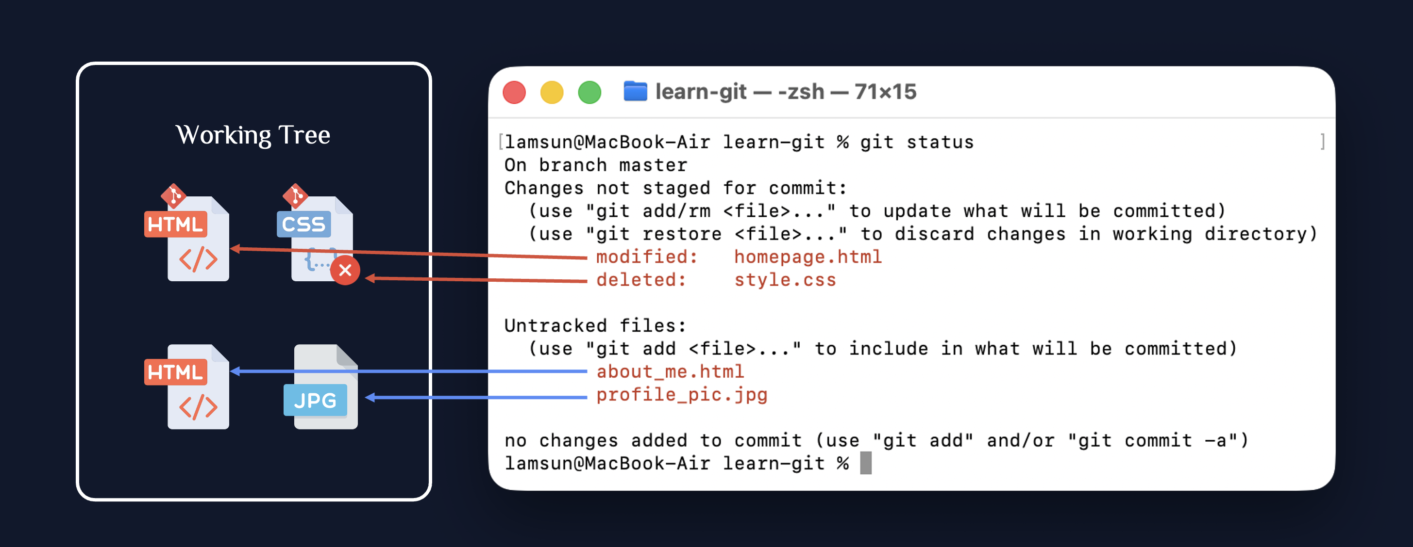 Git Status